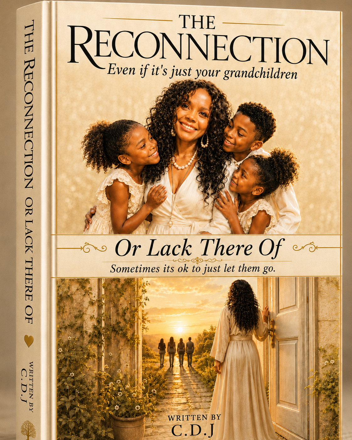 The Reconnection or Lack There Of book cover